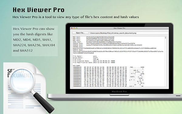 Hex Viewer Pro 官方下载_Hex Viewer Pro Ma