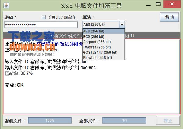 S.S.E. File Encryptor for PC