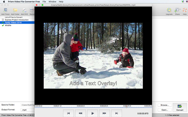 Prism Video File Converter截图