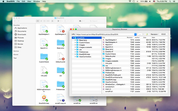SnailSVN截图