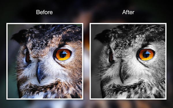 Photo Noir Movavi截图