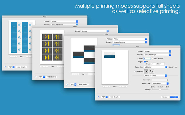 Blue Penguin名片设计截图