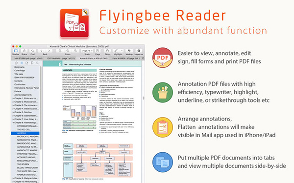 Flyingbee Reader截图