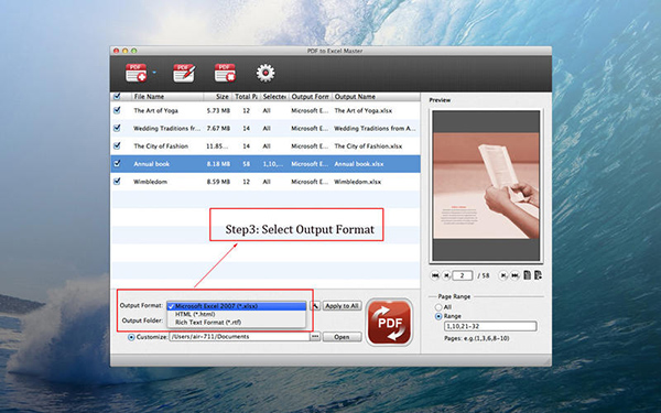 PDF to Excel Master截图