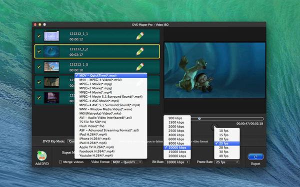 DVD Ripper Pro截图