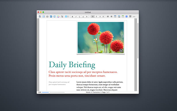 Document Editor Pro截图