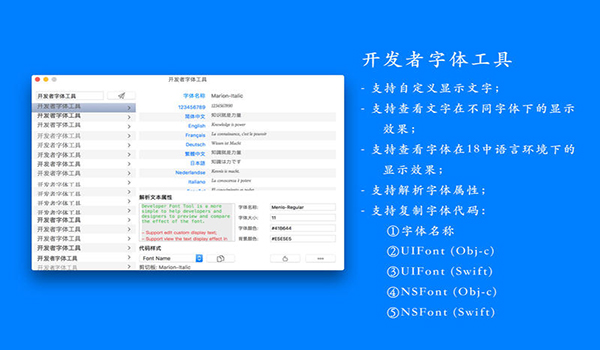 开发者字体工具截图