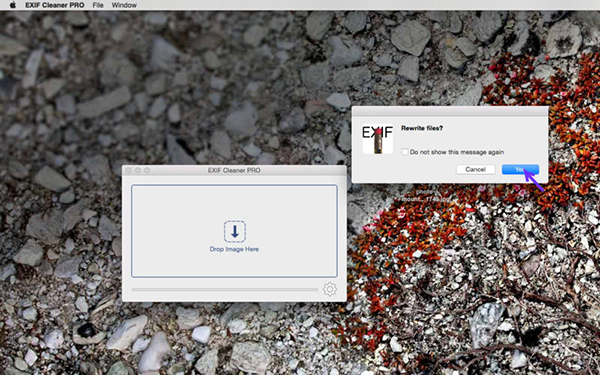 EXIF Cleaner Pro截图