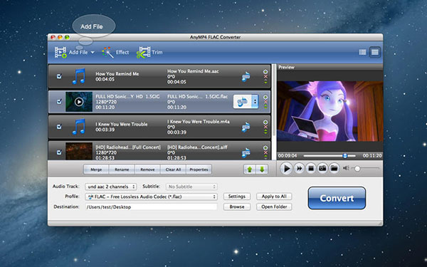 AnyMP4 FLAC Converter截图