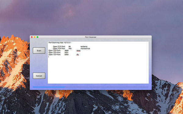 Port Scanner截图
