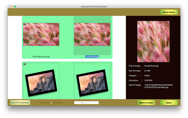 DuplicatePhotos截图