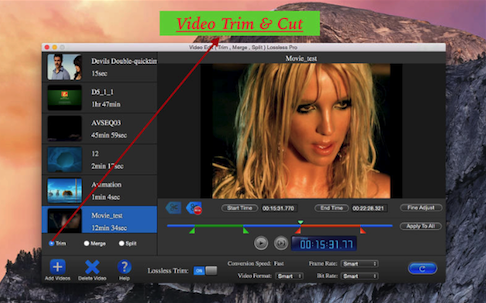 Video Edit Lossless Lite for Mac截图