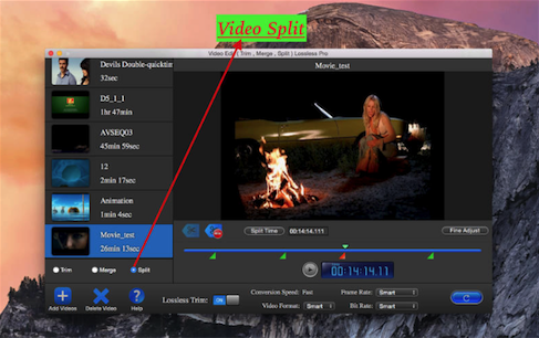 Video Edit Lossless Lite for Mac截图