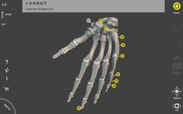 骨骼系统截图