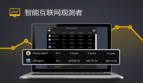 流量监视器GOLD截图