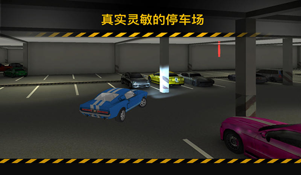 停车3D驾驶学校2017截图