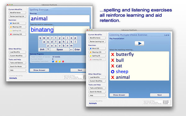 印度尼西亚语教学卡片截图