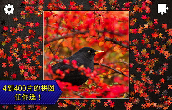 Jigsaw Puzzles截图