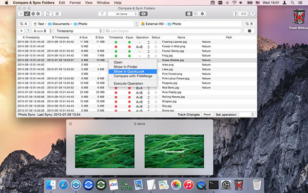 Compare & Sync Folders for Mac截图