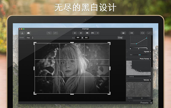 Black And White截图