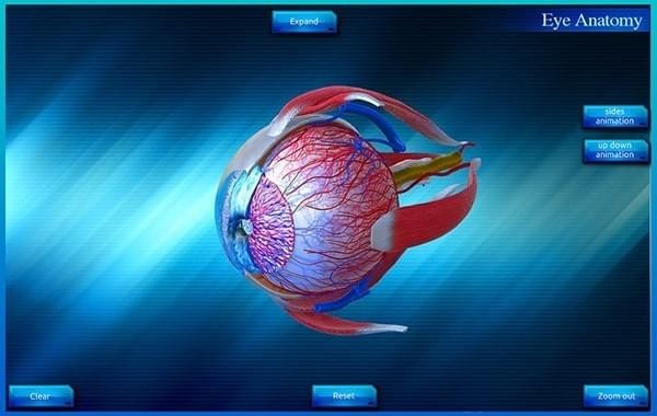 Eye Anatomy 3D截图