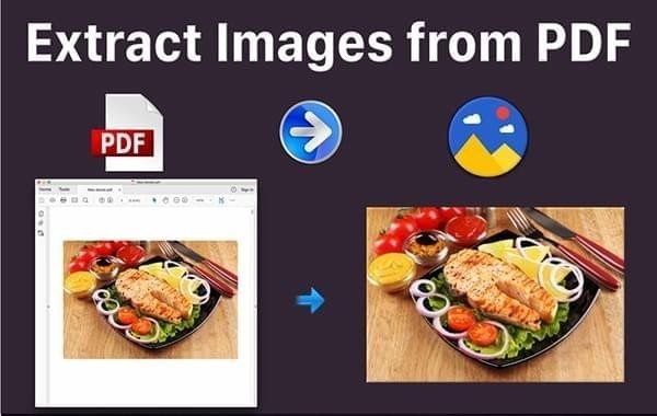 Extract PDF Images截图