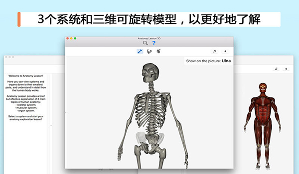 解剖课3D截图
