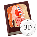 解剖课3D