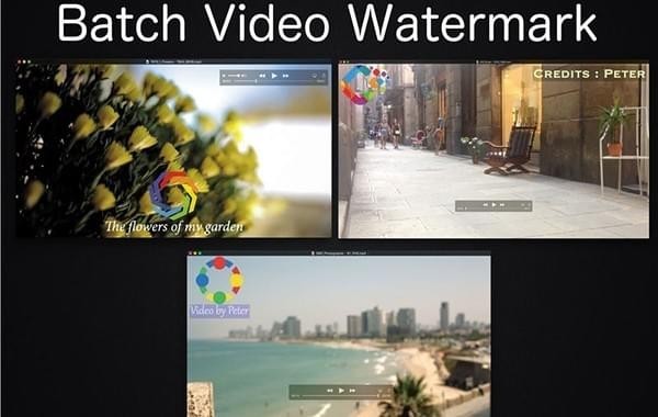 Batch Video Watermark截图