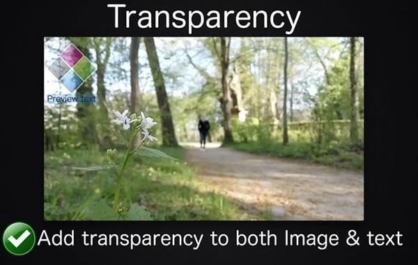 Batch Video Watermark截图