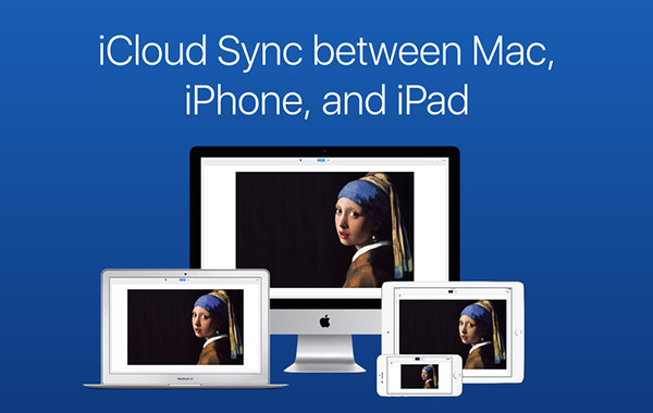 Flashcard Maker截图