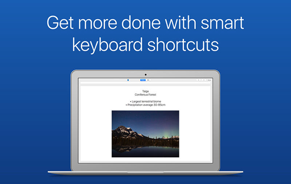 Flashcard Maker截图