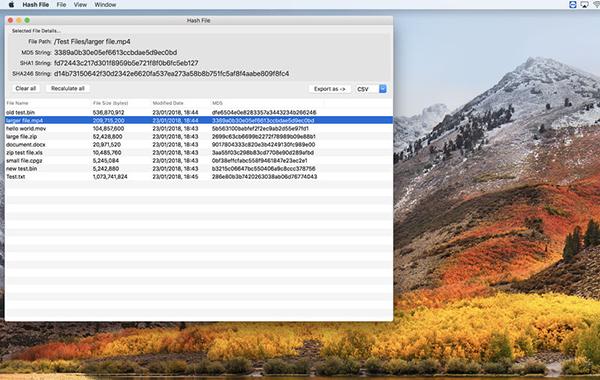 Hash File截图