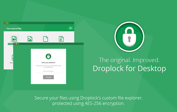 Droplock Desktop截图