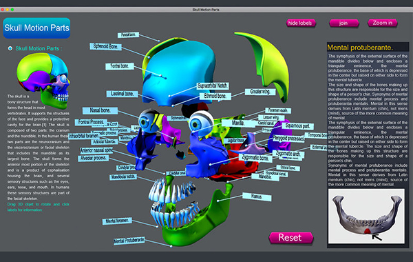Skull Color Parts截图