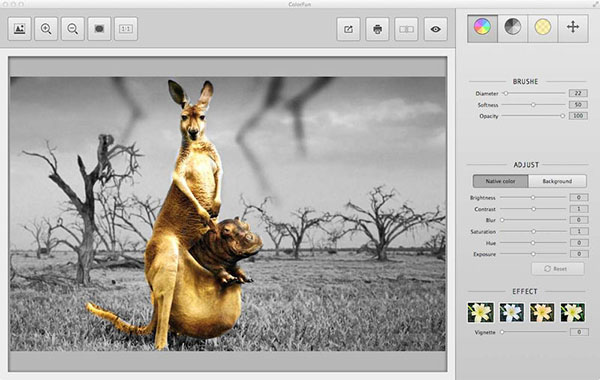 ColorFun趣图截图