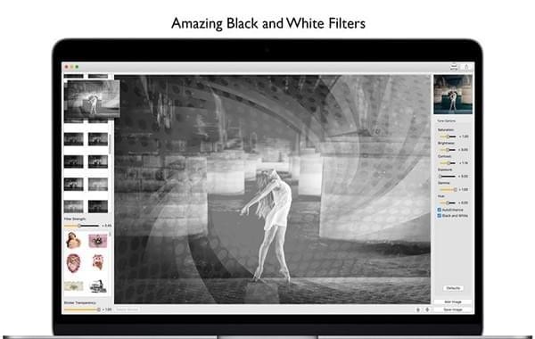 Black White Editor截图