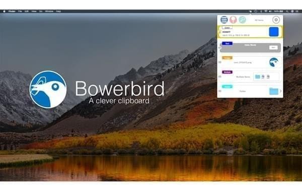 Bowerbird截图
