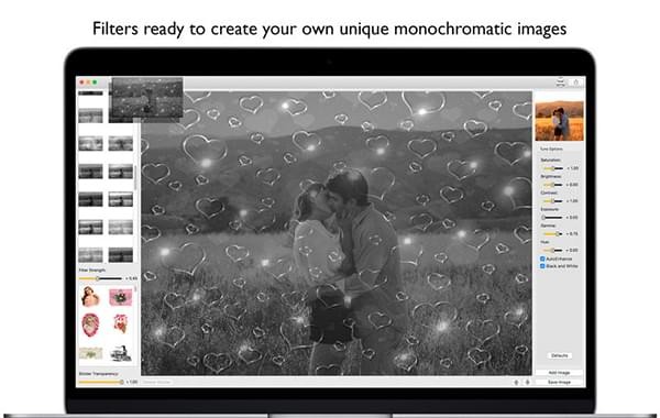 Black White Editor截图