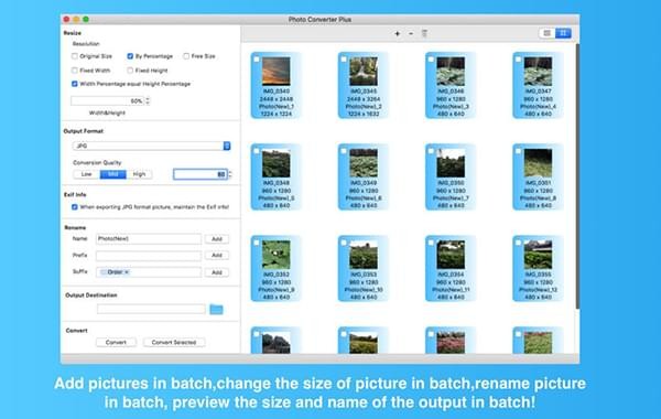 PhotoConverterPlus截图