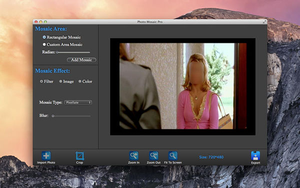 Photo Mosaic Pro截图
