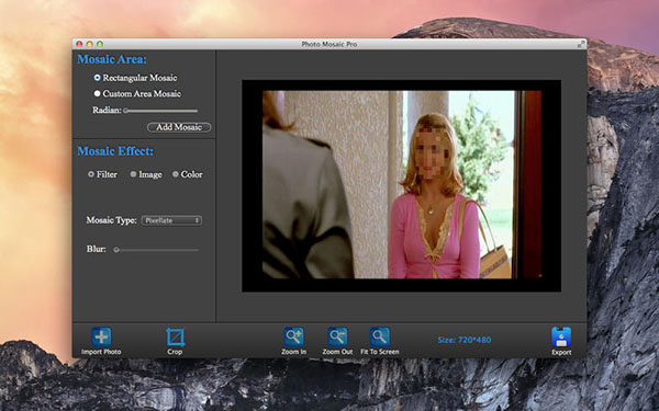 Photo Mosaic Pro截图