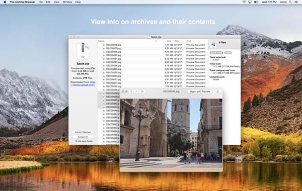 The Archive Browser截图