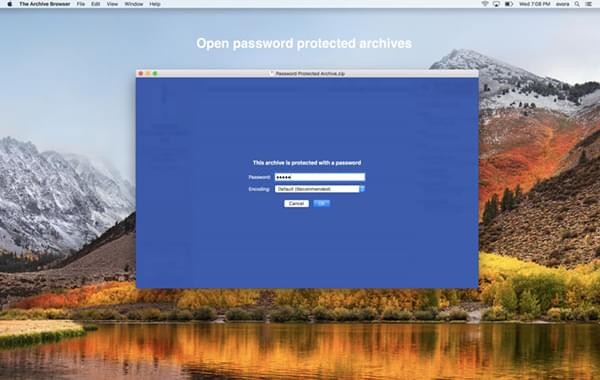 The Archive Browser截图