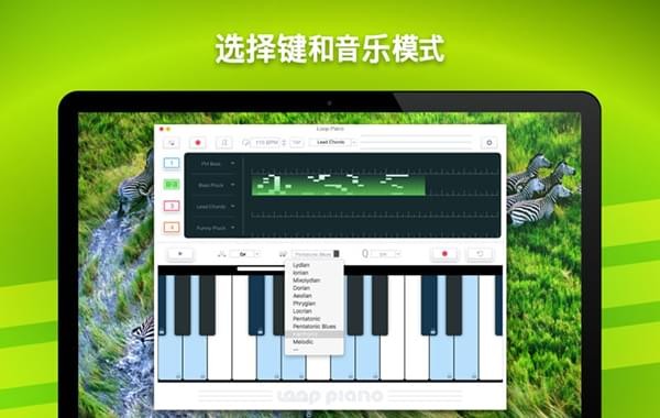 Loop Piano截图