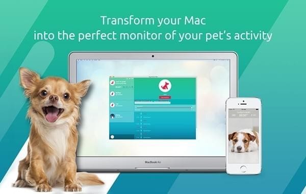 Dog Monitor截图