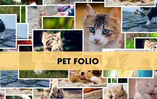 Pet Folio截图