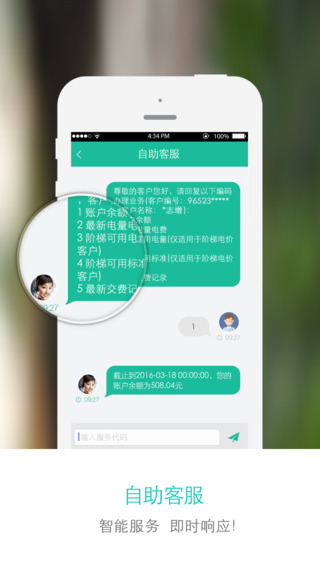掌上电力截图