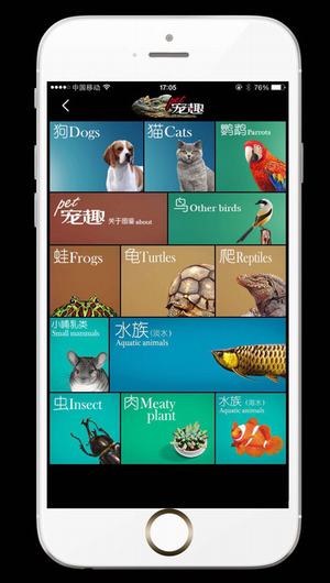 pet宠趣截图