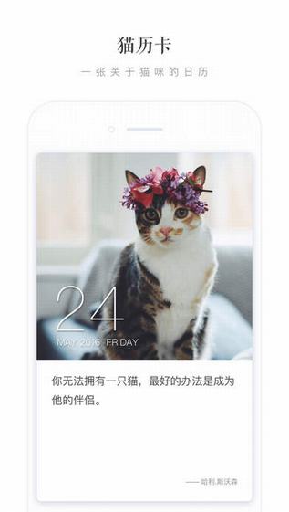 一日猫截图